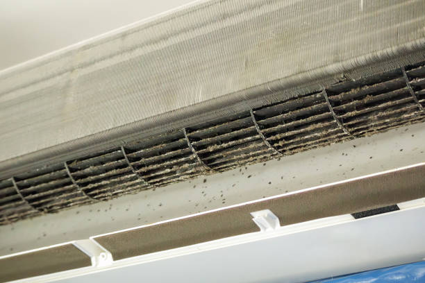 Best Air Vent Cleaning Services  in Red Corral, CA